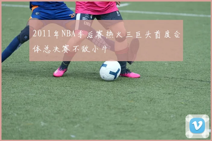 2011年NBA季后赛热火三巨头首度合体总决赛不敌小牛