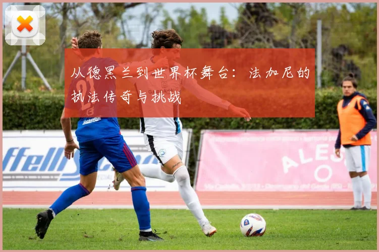 从德黑兰到世界杯舞台：法加尼的执法传奇与挑战